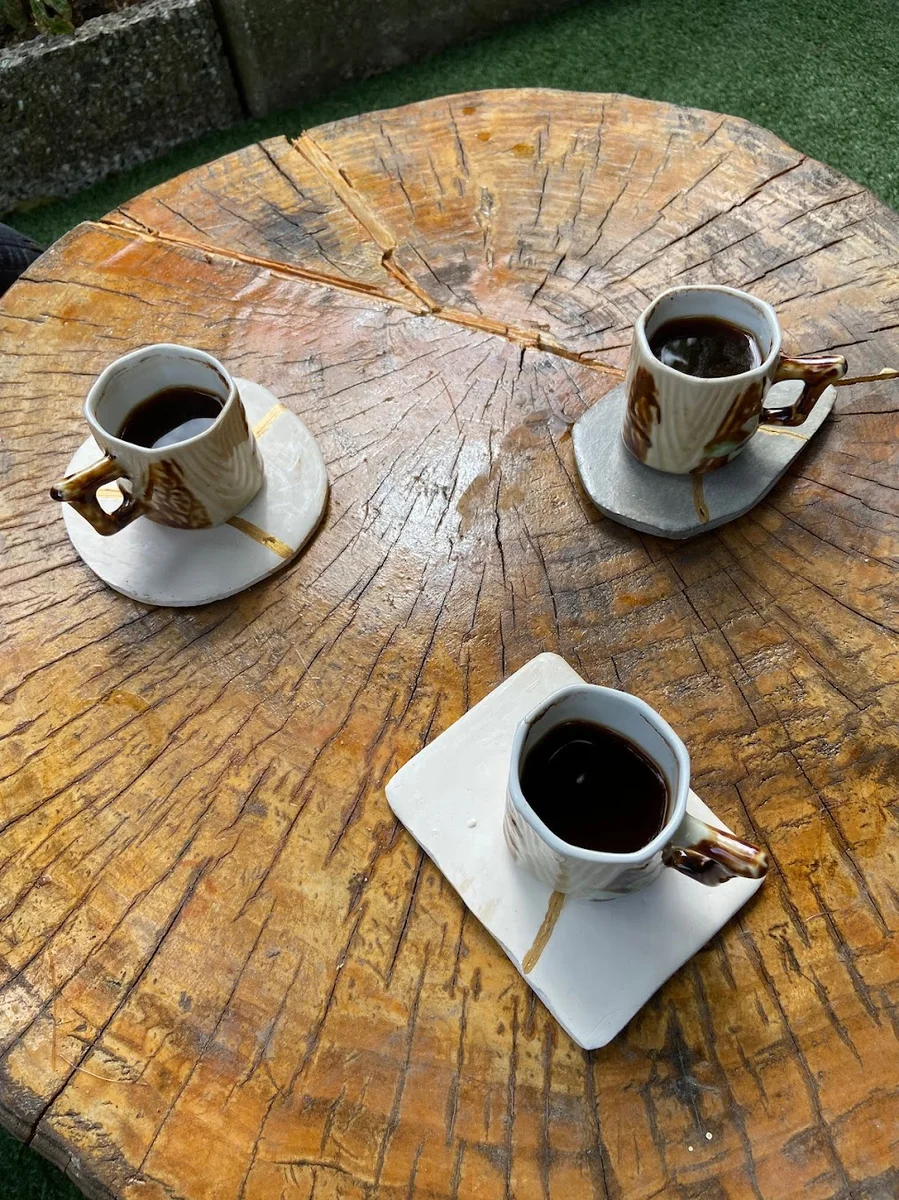 Aydın Usta Terkos Göl Balığı, Balık & Et Restaurant - Görsel 9