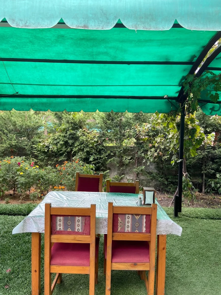 Aydın Usta Terkos Göl Balığı, Balık & Et Restaurant - Görsel 8