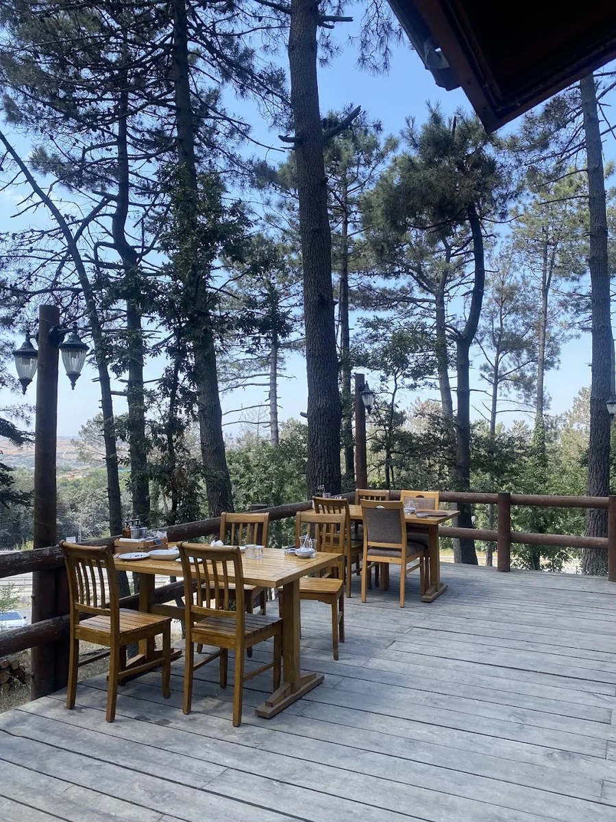 Doğa Kır Restoranı - Görsel 3