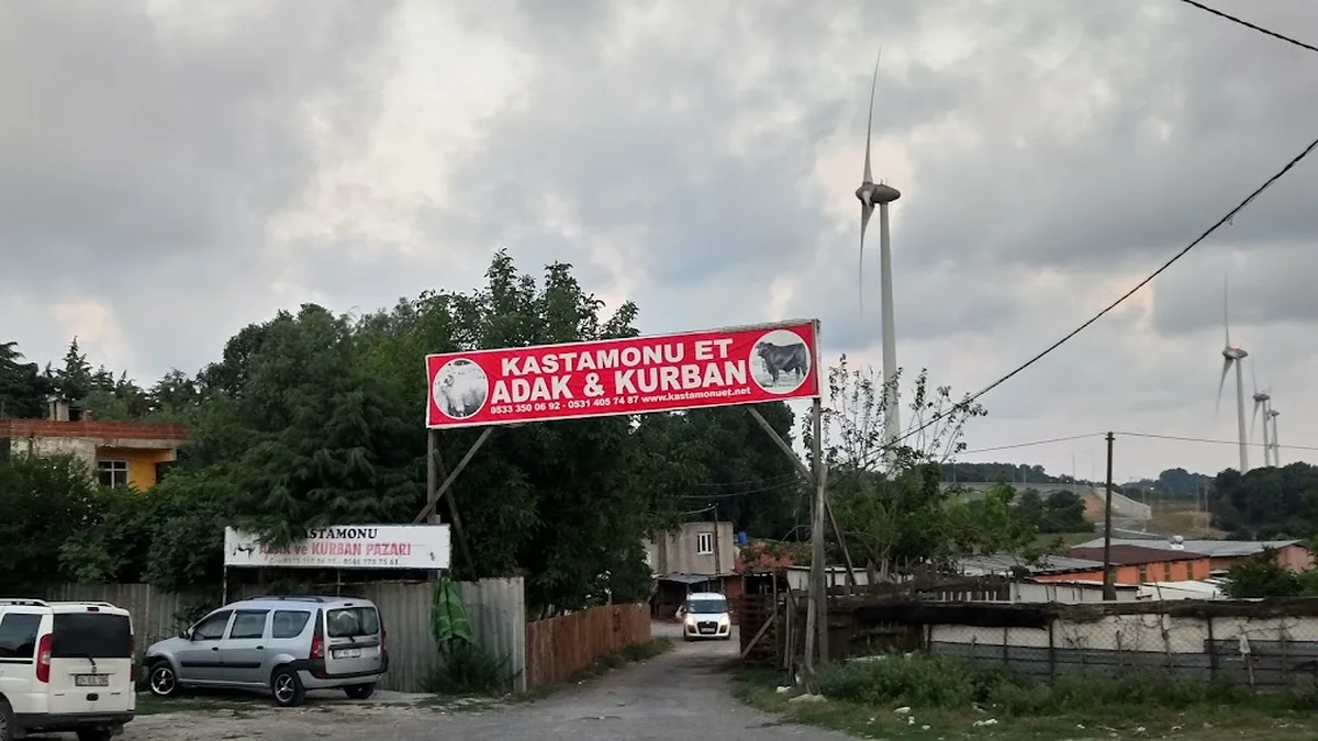 Kastamonu Et Tayakadın Izgara Kasap - Görsel 2