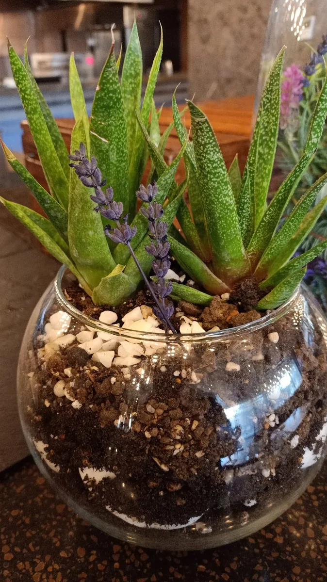 Core Grill And Bar - Görsel 8