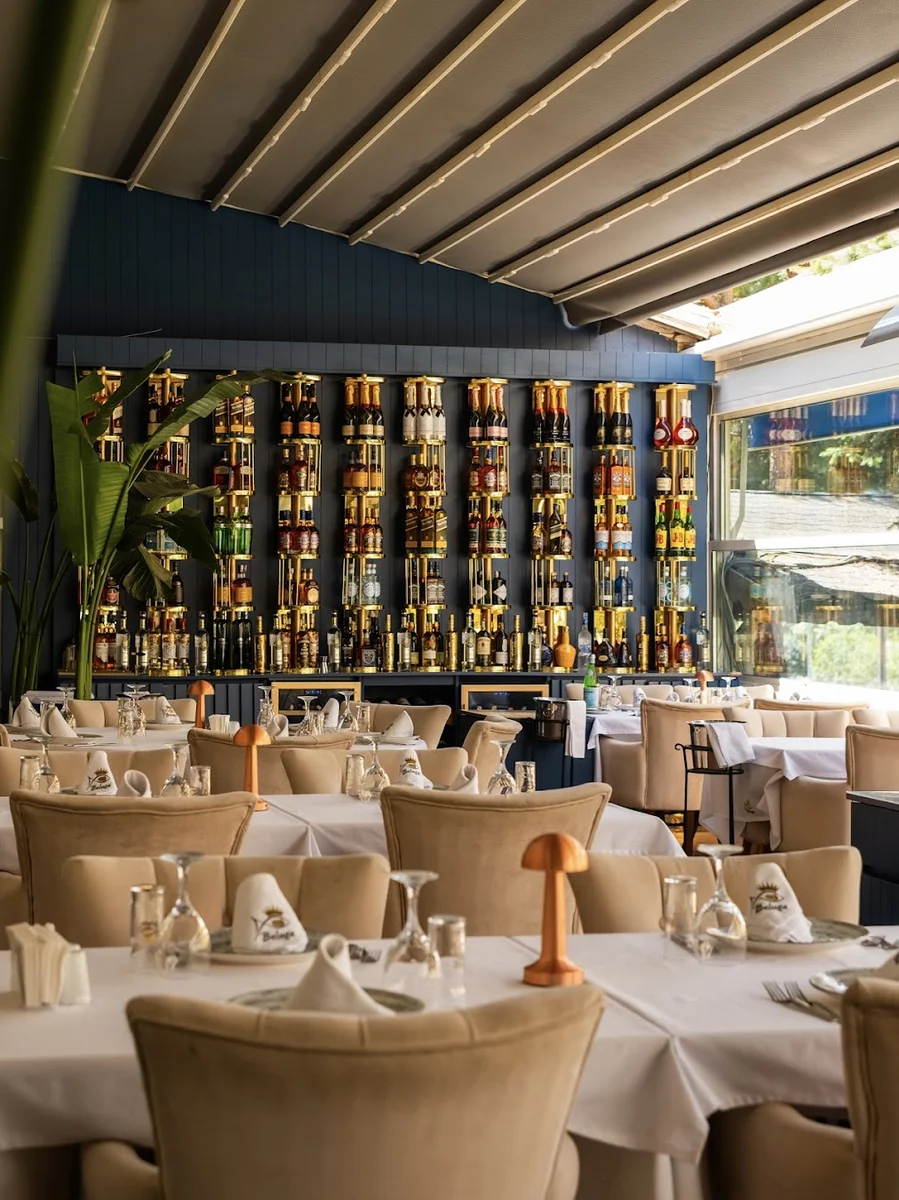 Beluga Fish Gourmet - Görsel 6