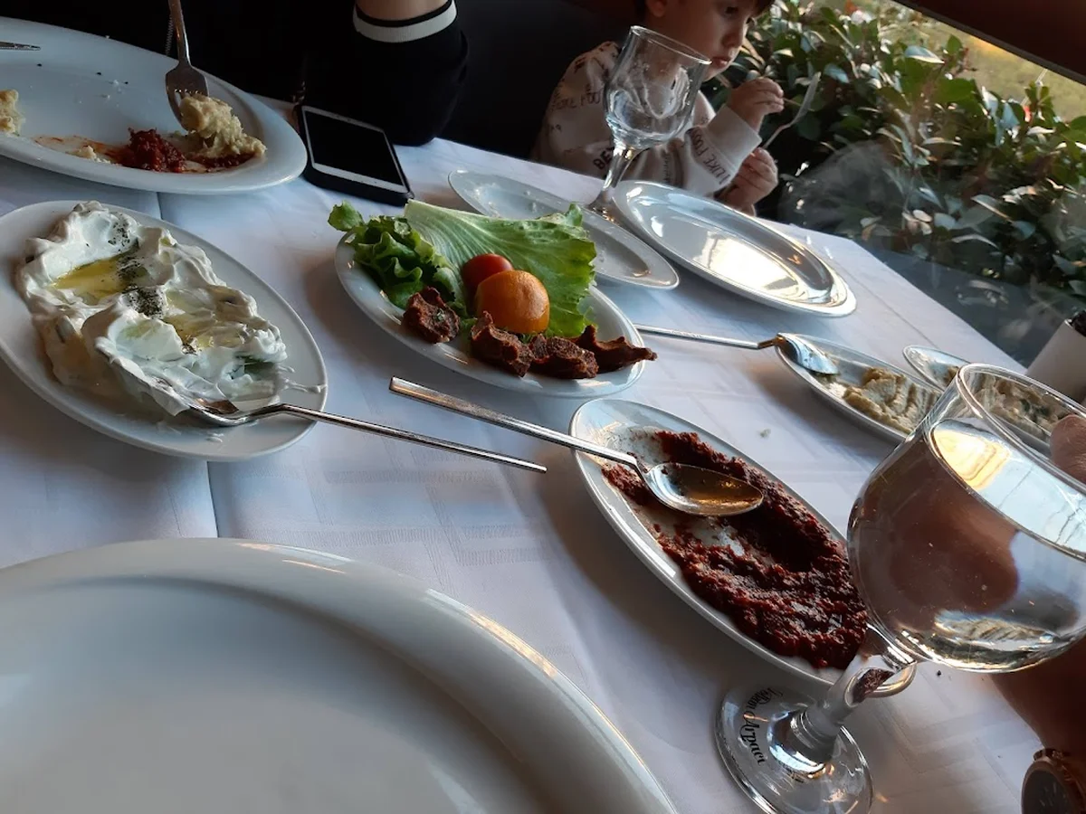 Hasan Kolcuoğlu - Görsel 3