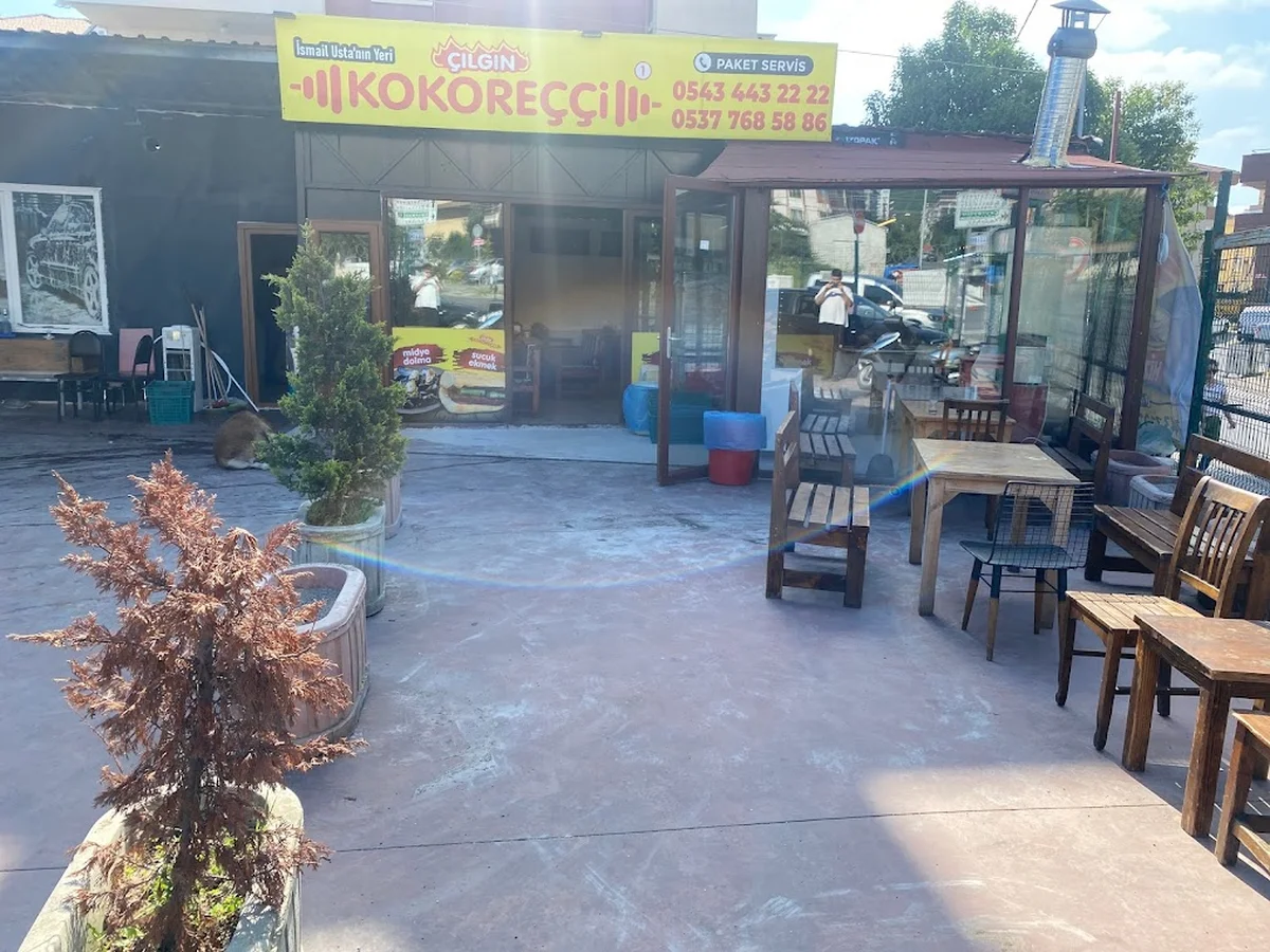 Çılgın Kokoreçci - Görsel 2