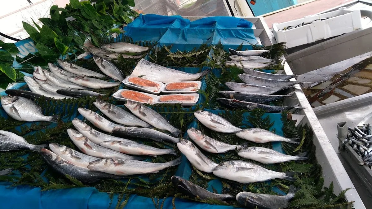 YEDİ TEPE BALIK - Görsel 2