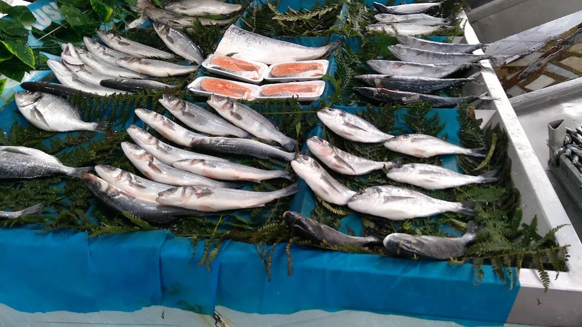 YEDİ TEPE BALIK - Görsel 5