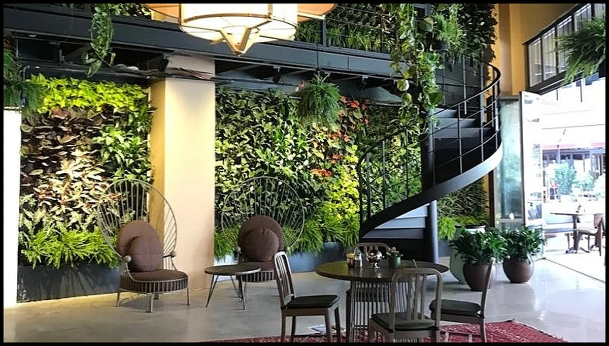 The House Cafe - Görsel 3