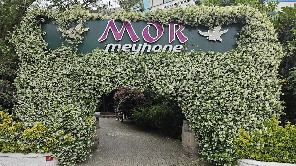 Mor Meyhane - Görsel 6