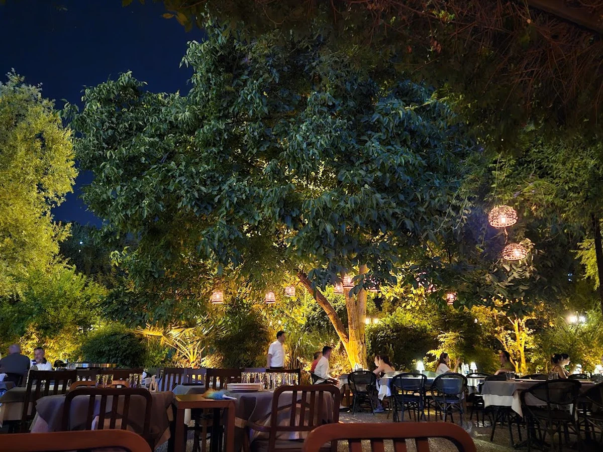 Mor Meyhane - Görsel 8