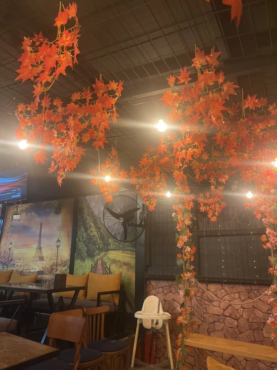 Memoka Lounge Restaurant - Görsel 2