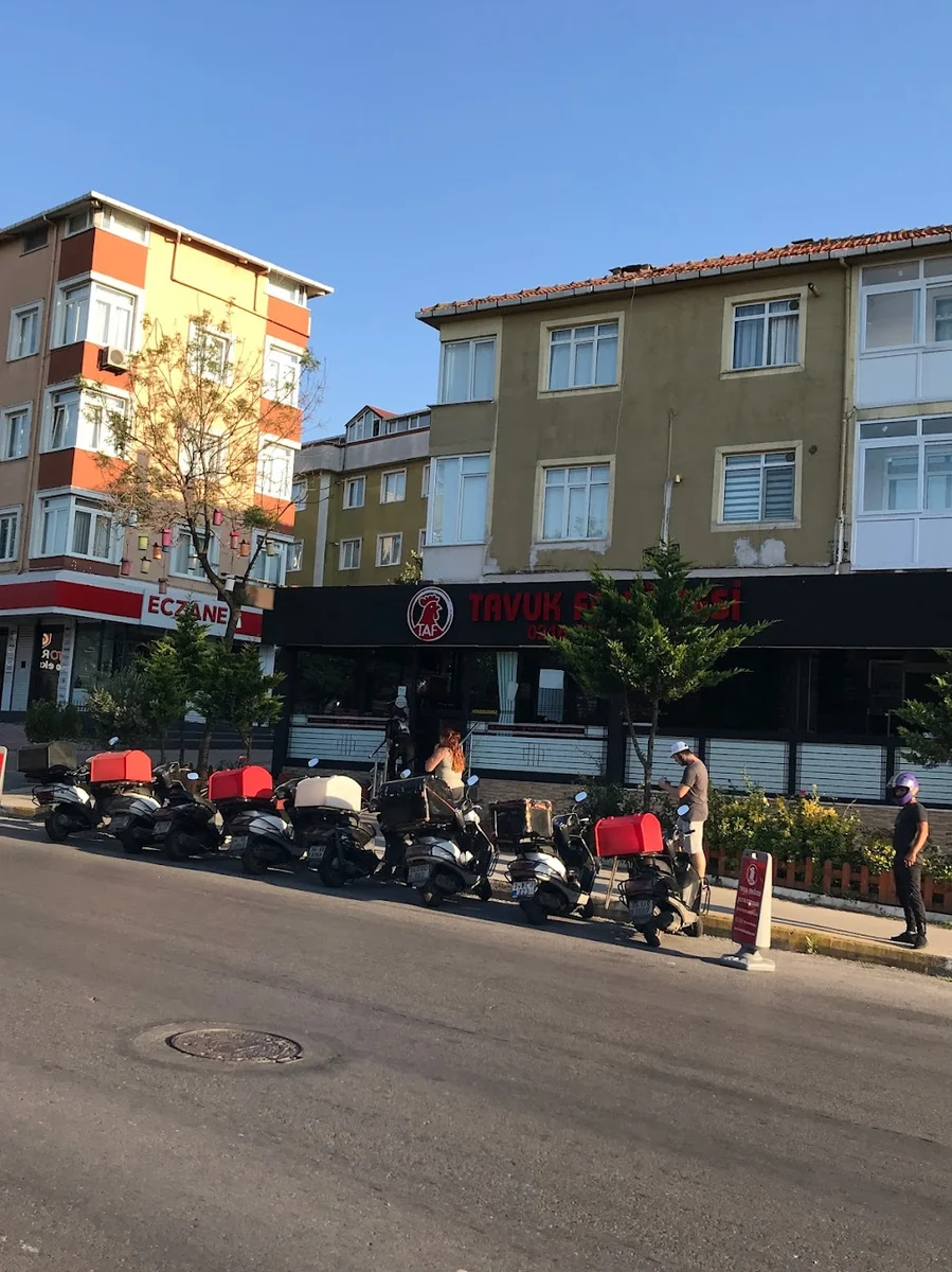 Tavuk Fakültesi - Görsel 2