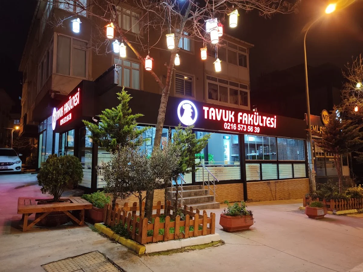 Tavuk Fakültesi - Görsel 1