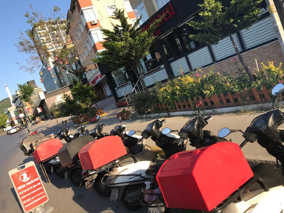 Tavuk Fakültesi - Görsel 4