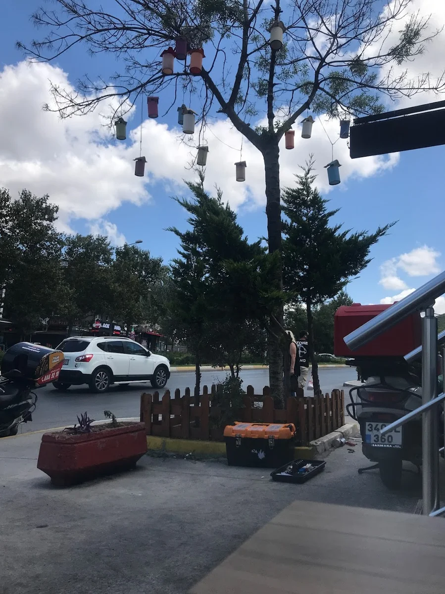 Tavuk Fakültesi - Görsel 5