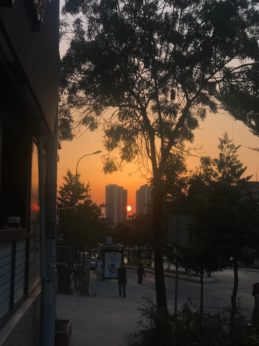 Tavuk Fakültesi - Görsel 8