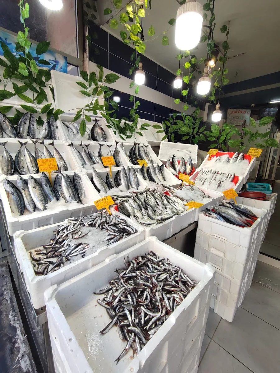 Balikçi Osman - Görsel 2