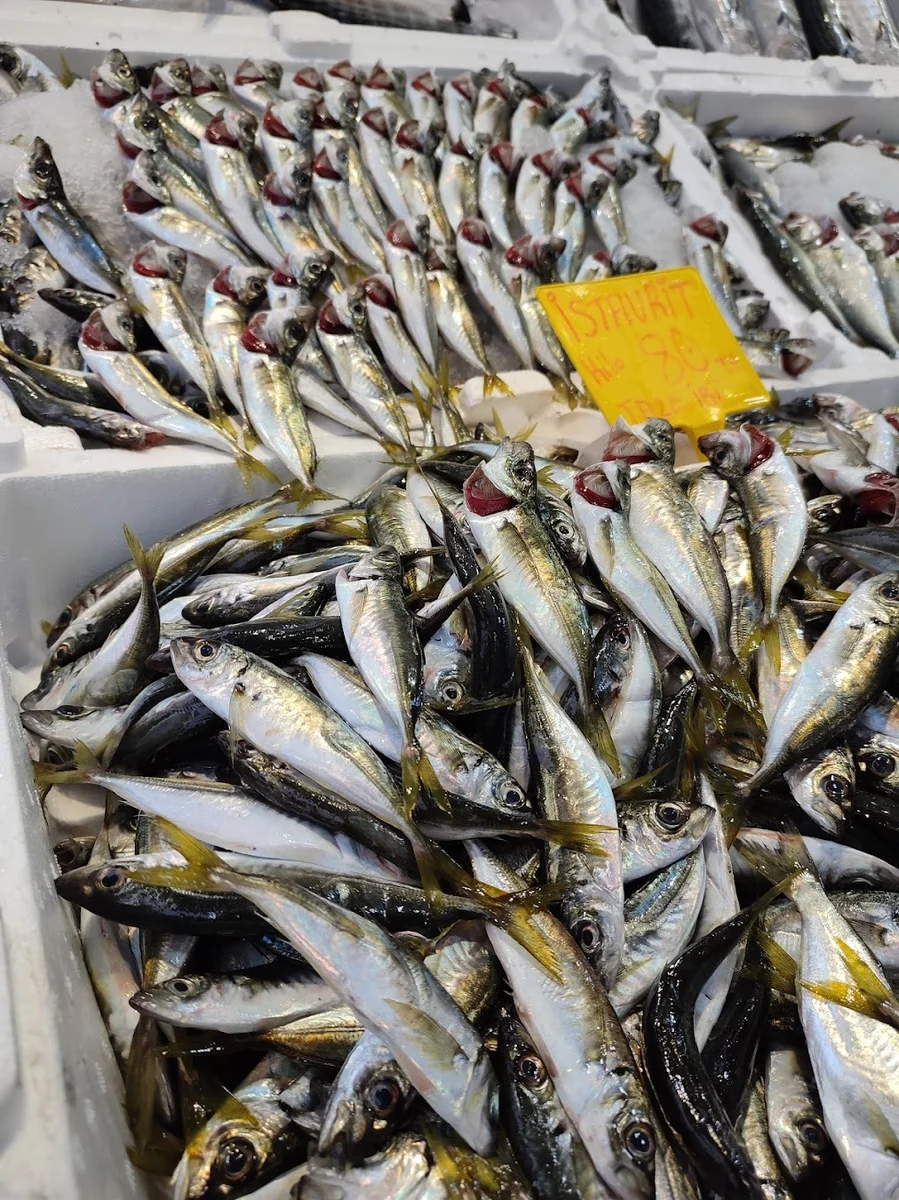 Balikçi Osman - Görsel 3