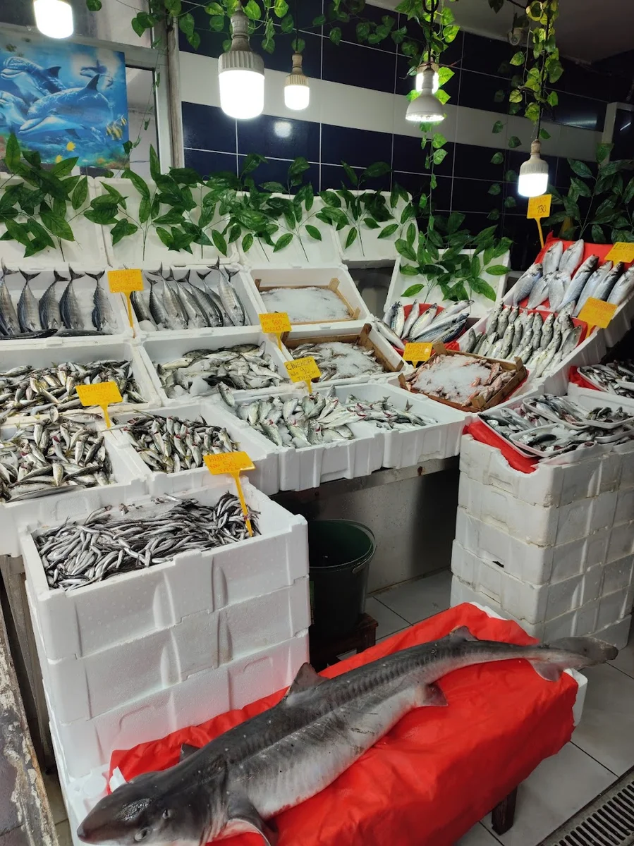 Balikçi Osman - Görsel 5