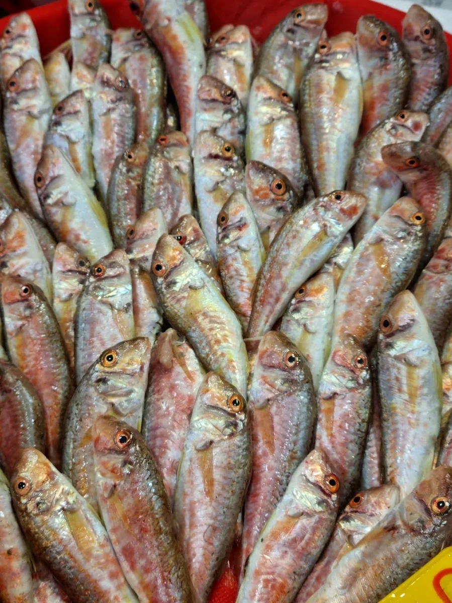 Balikçi Osman - Görsel 8