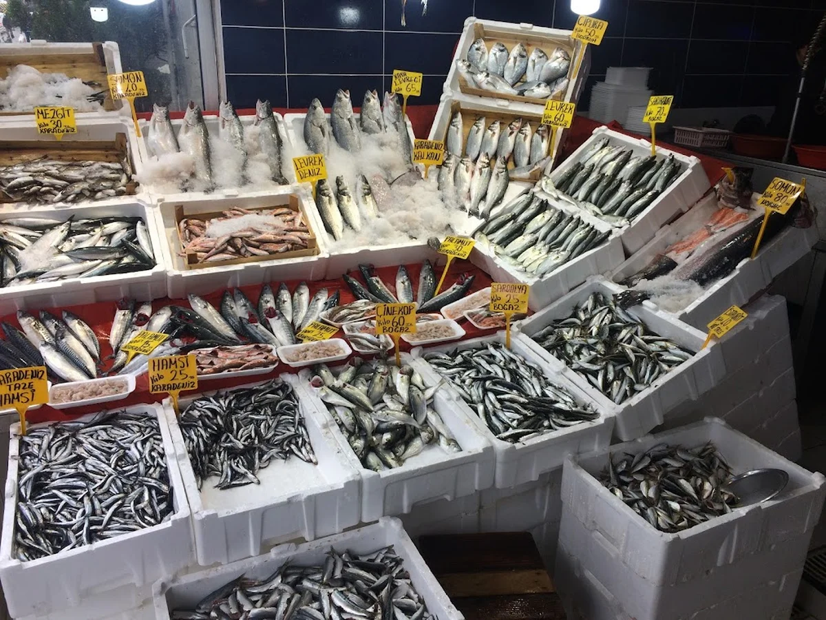 Balikçi Osman - Görsel 9