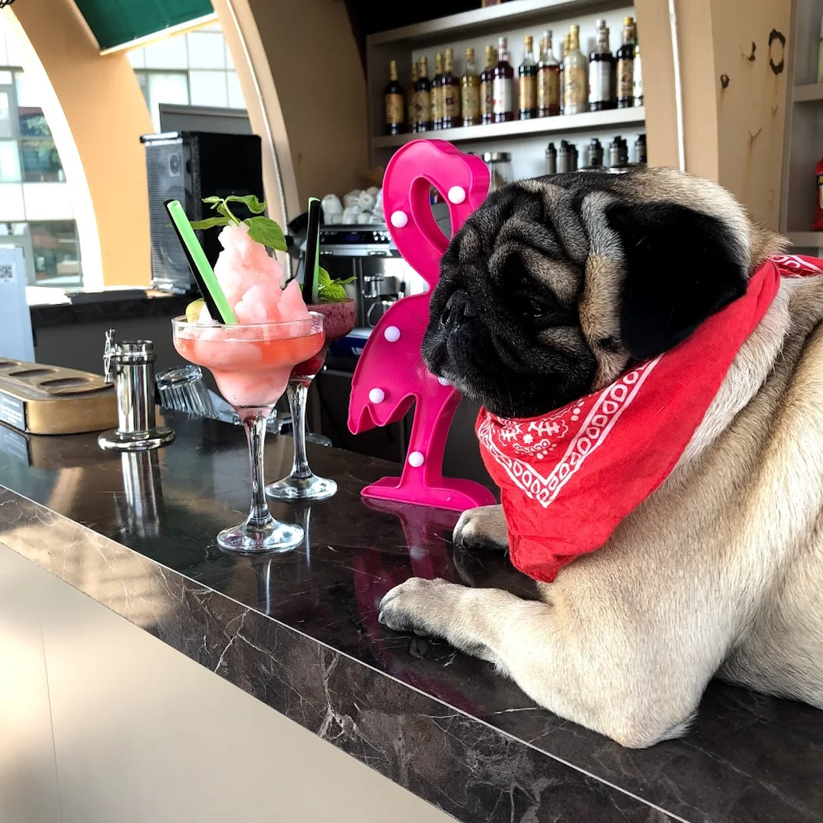 POINT BAR GRILL LOUNGE - Görsel 9