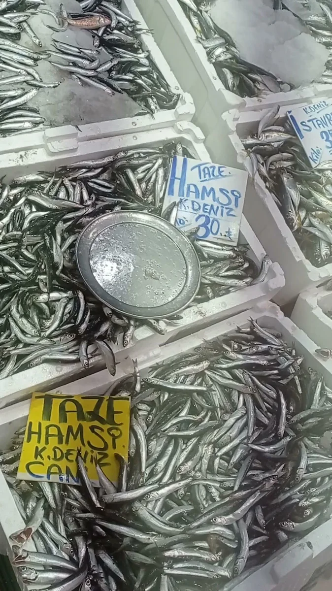 Kayışdağı Çamoluk Balıkçı Ekrem - Görsel 5