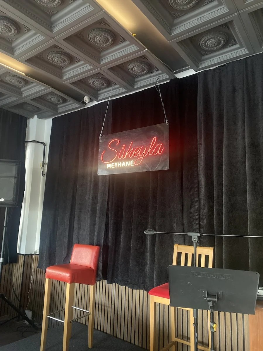 Süheyla Meyhane - Görsel 2