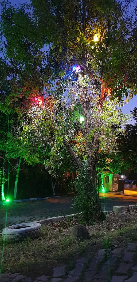 DEFNE BAHÇESİ KAHVALTI&MANGAL - Görsel 3