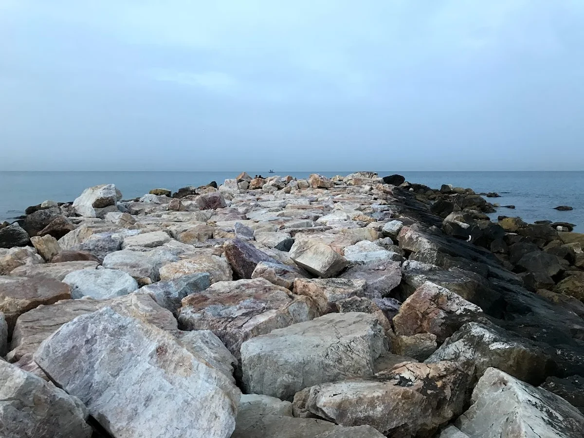 dostlar restaurant - Görsel 4