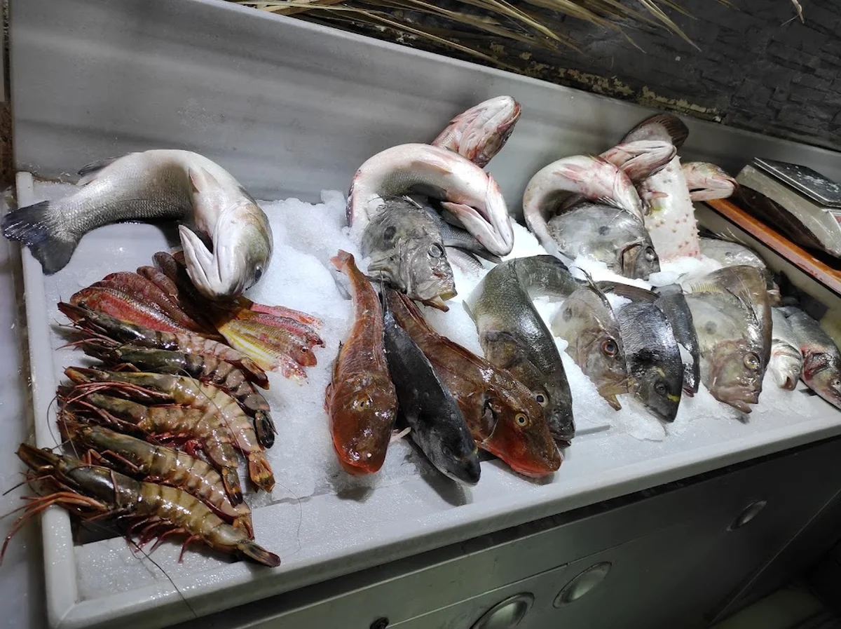 Sur Balık Restoran Arnavutköy - Görsel 3