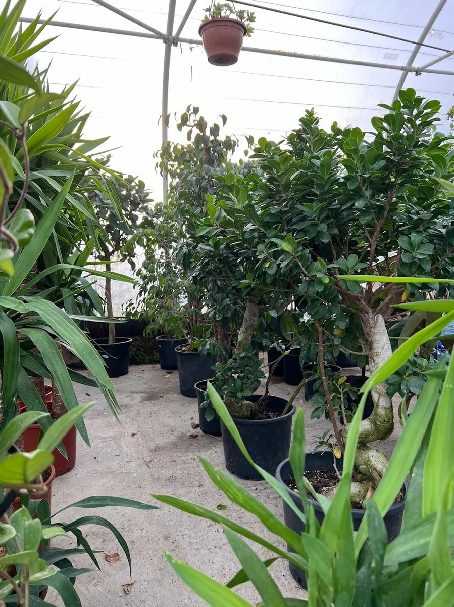 BotanikCafeRestaurant - Görsel 8