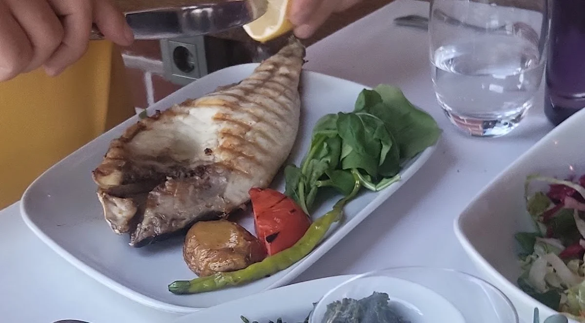 Arnavutköy Balıkçısı - Görsel 8