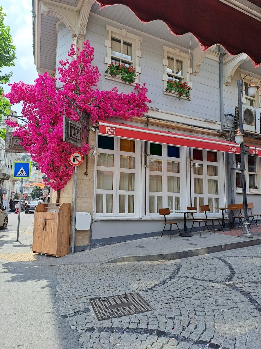 Arnavutköy Any - Görsel 8