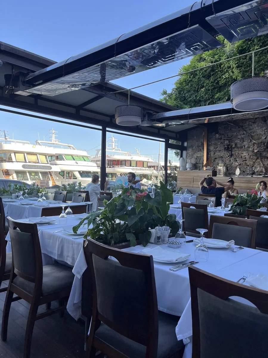 Revma Balık - Görsel 7