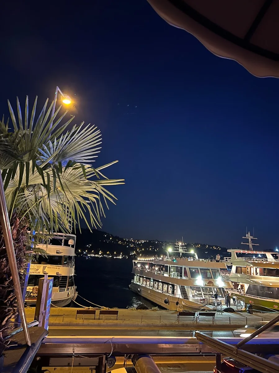 Revma Balık - Görsel 8