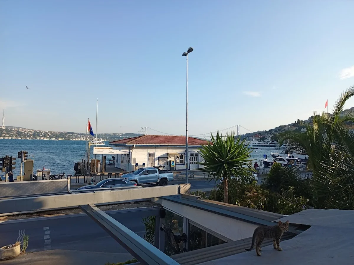 Vira Vira Balık - Görsel 9