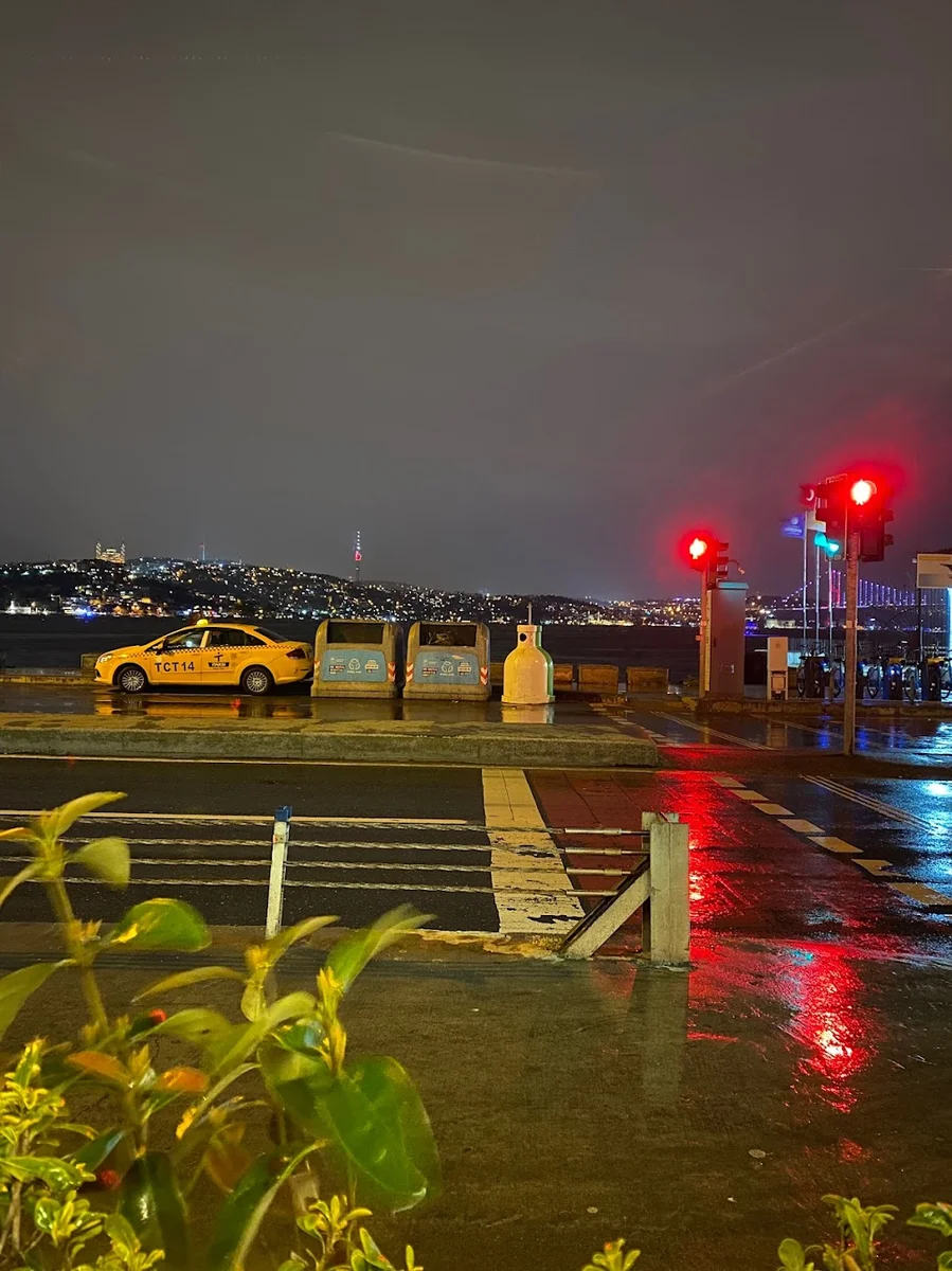 Vira Vira Balık - Görsel 8