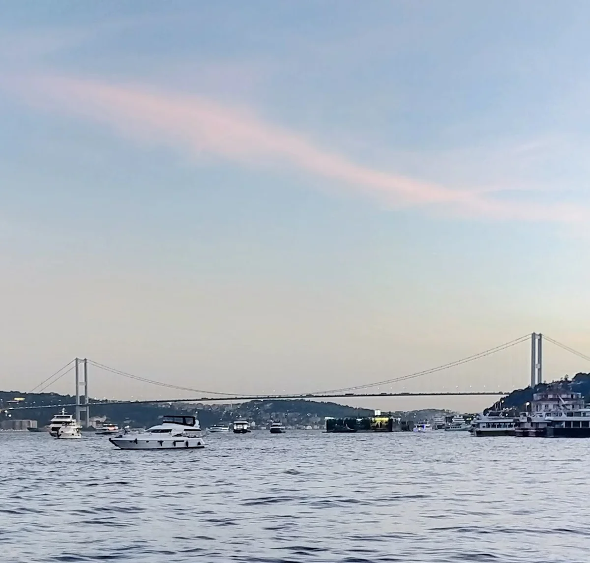 Arnavutköy İskele Balık - Görsel 3