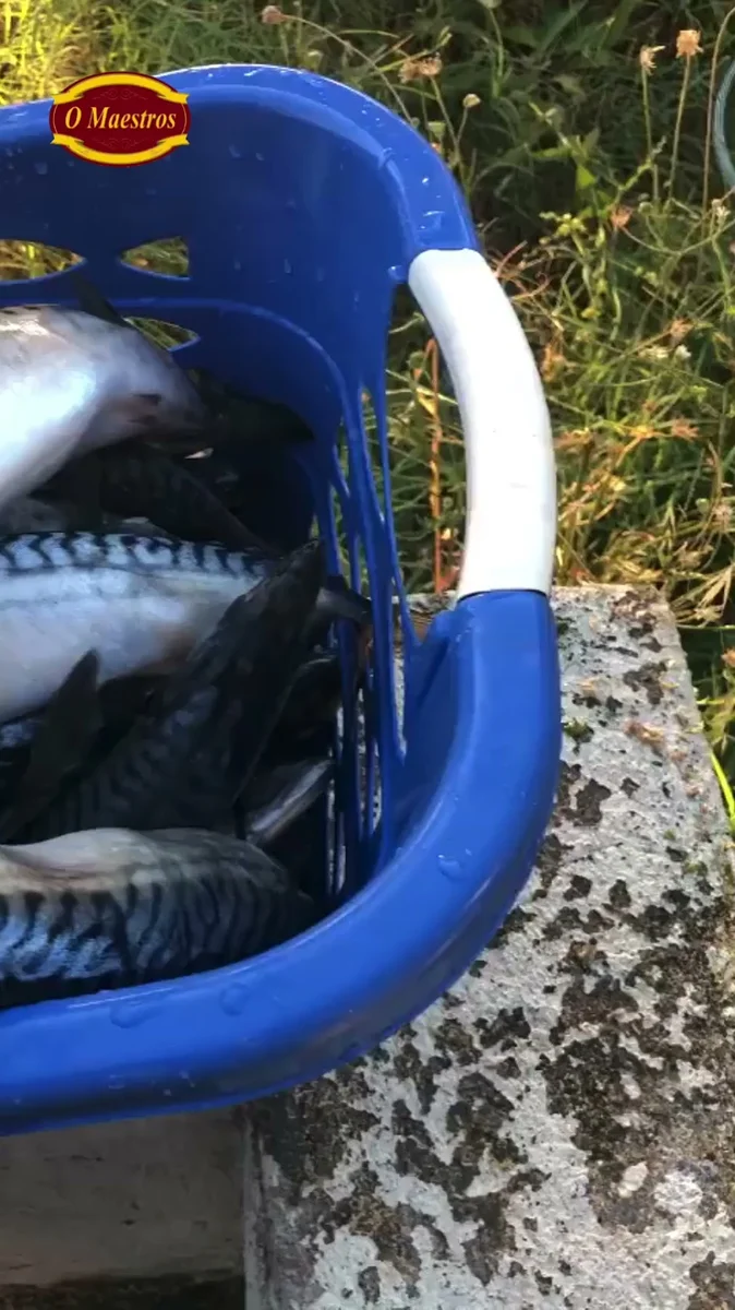 O Maestros - Görsel 7