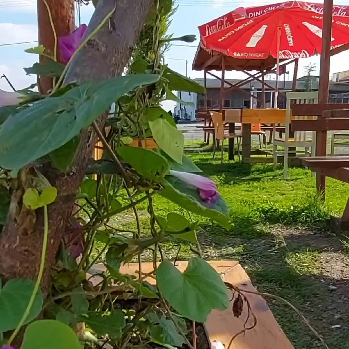 Hisar Ev Yemekleri Havalimanı HEY - Görsel 3