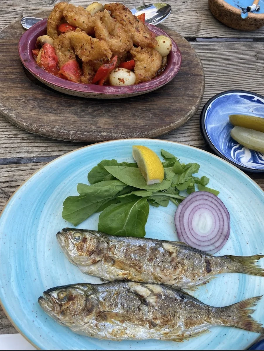 Sandal Balık - Görsel 6