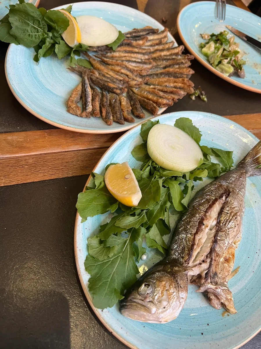 Sandal Balık - Görsel 8