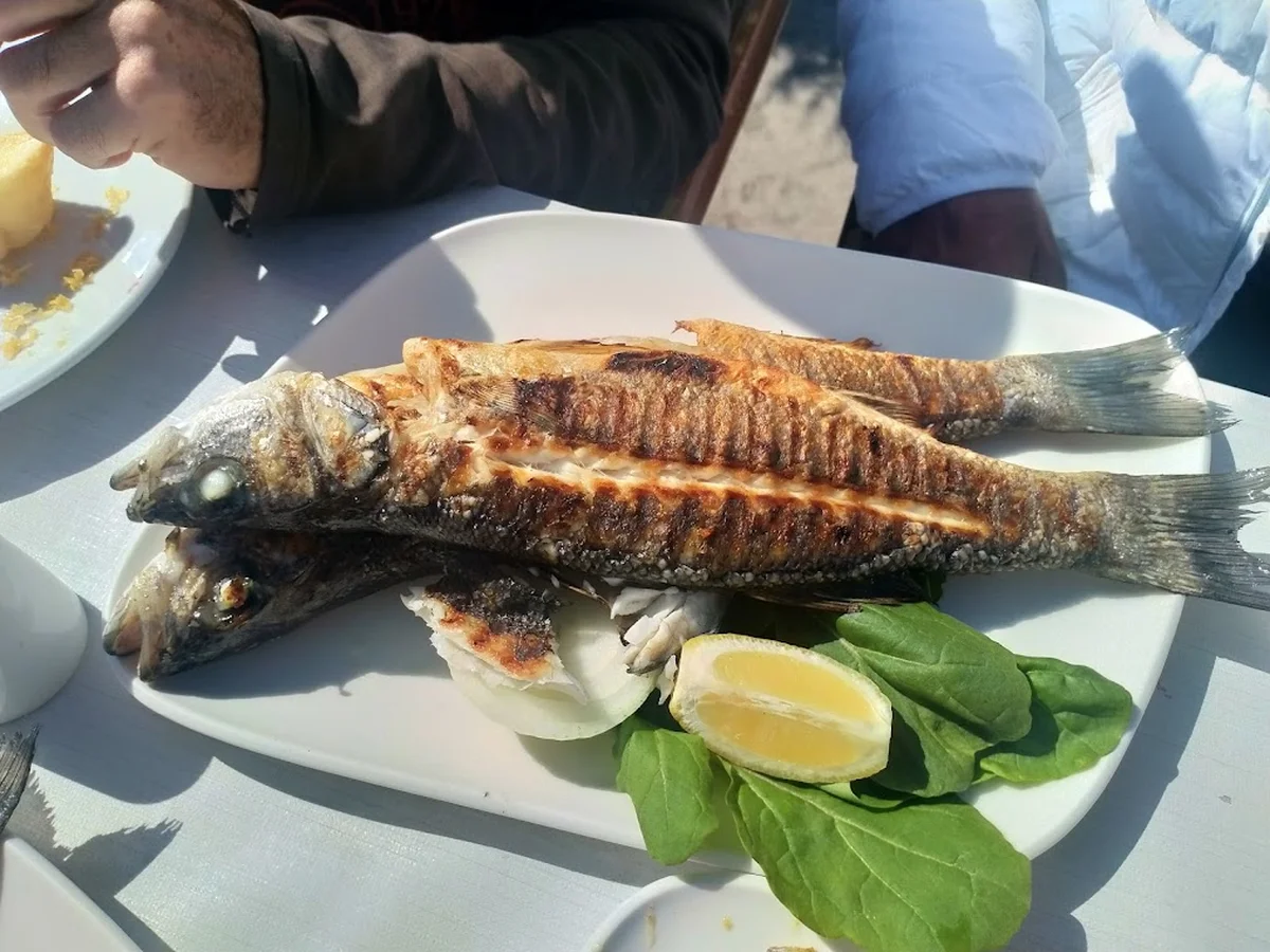 Kaptan Balık Evi – Restoran - Görsel 4