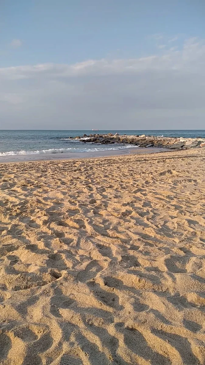 Yeniköy Sahili - Görsel 7