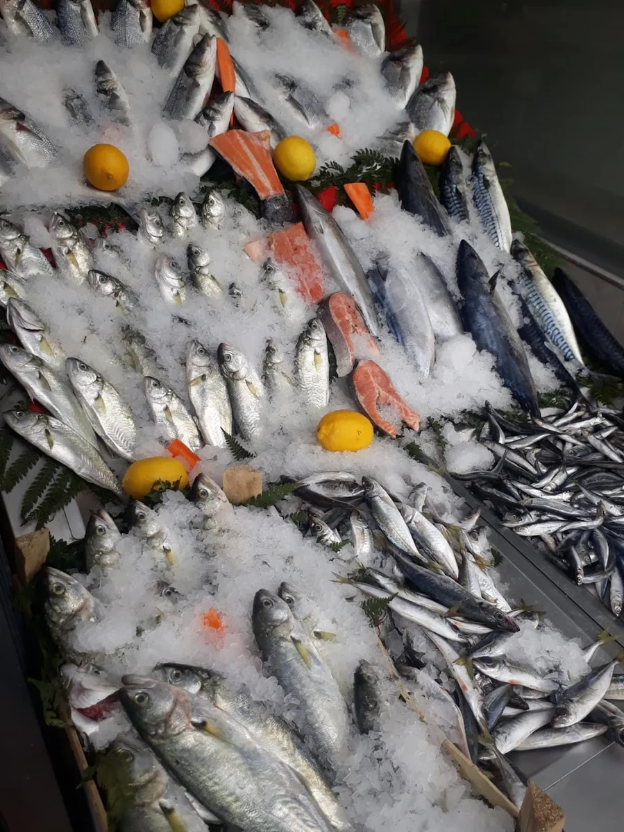 Balıkçı Zarîf Usta - Görsel 7