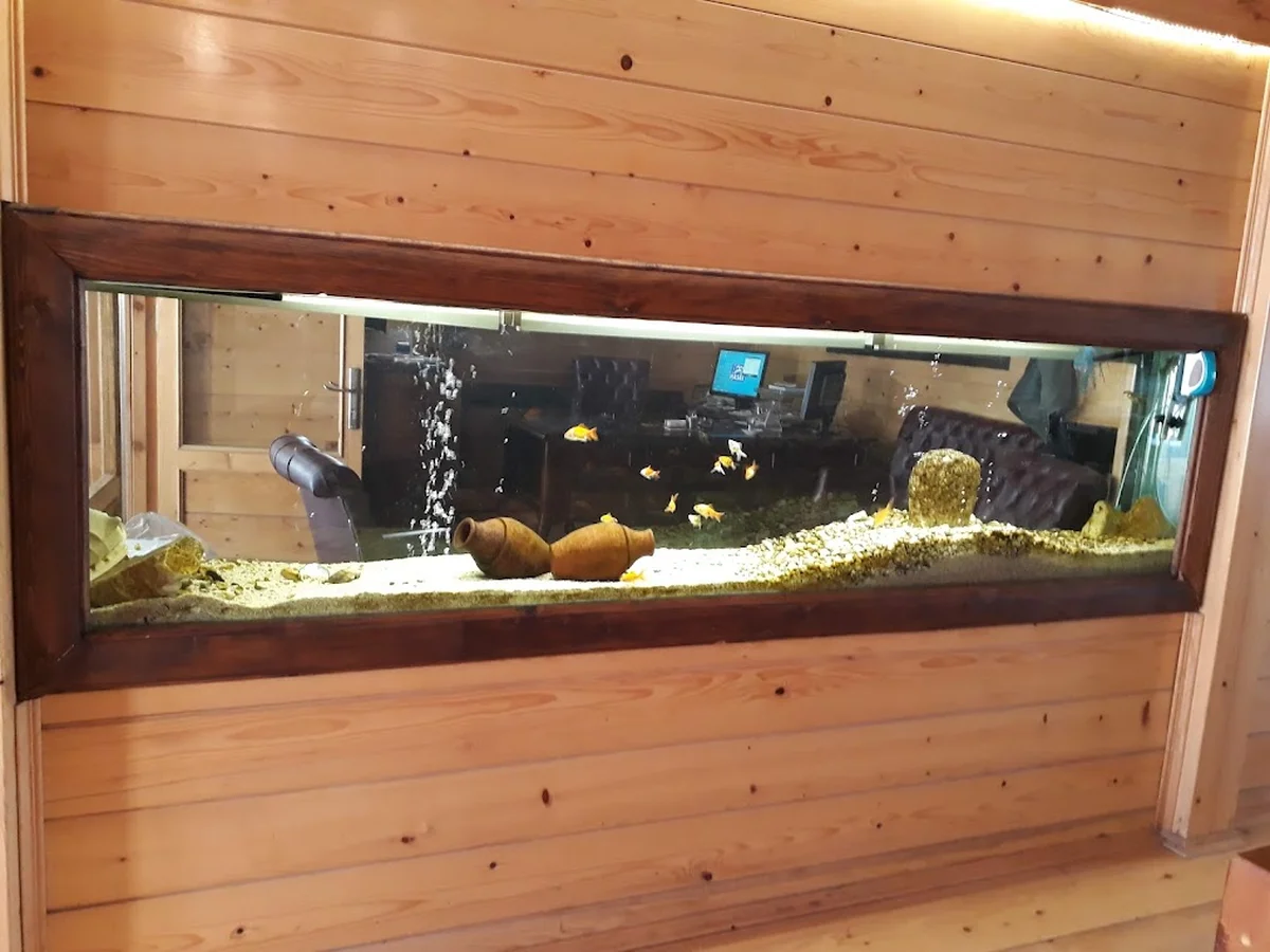 Durusu Köftecisi - Görsel 6