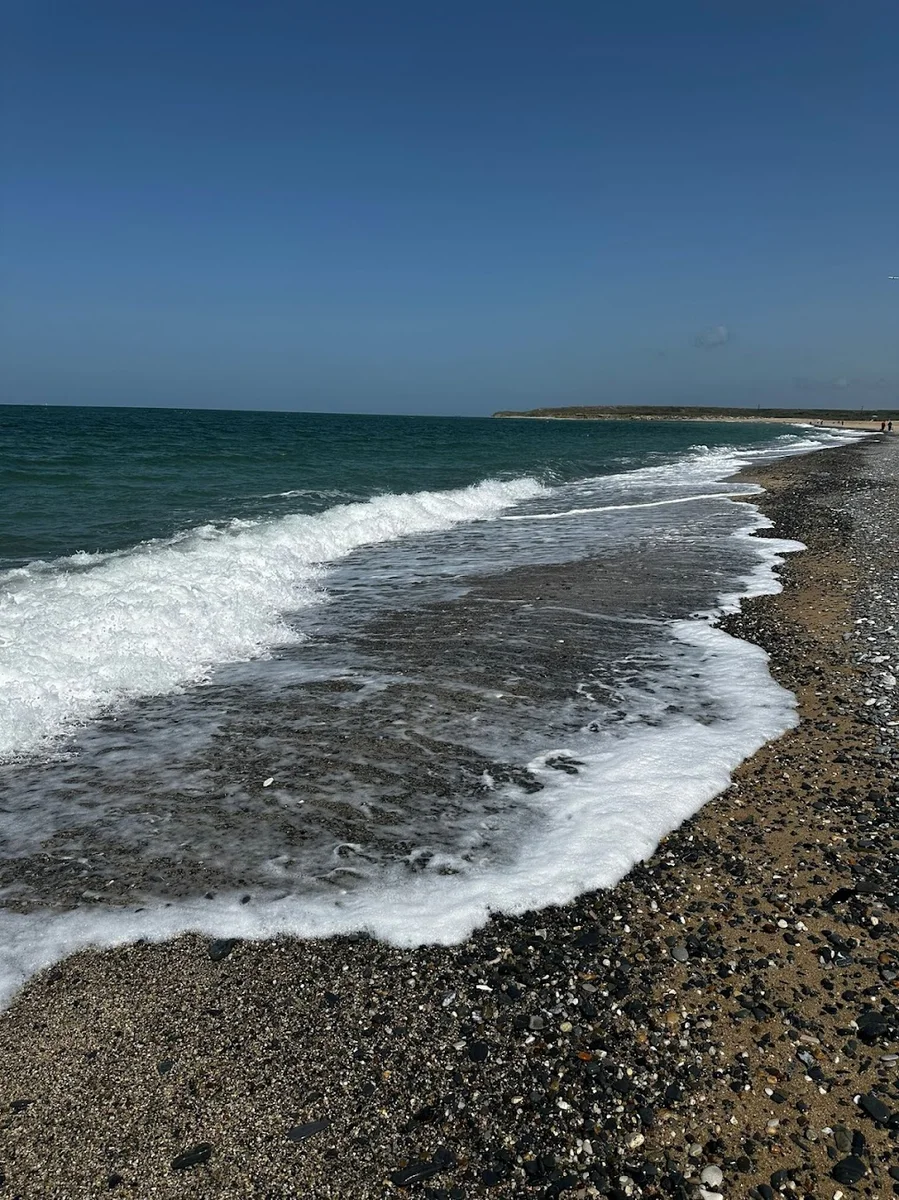 Airport Black Sea Hotel & Restaurant - Görsel 4