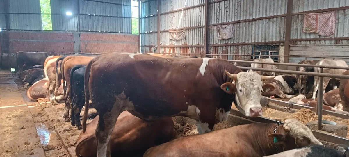 Köfteci Kara Tayakadın Şubesi - Görsel 8