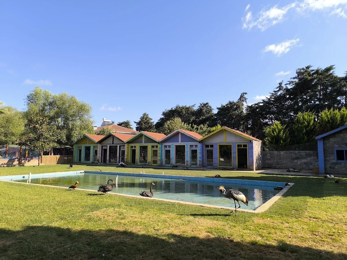 Flamingo Köy - Görsel 8