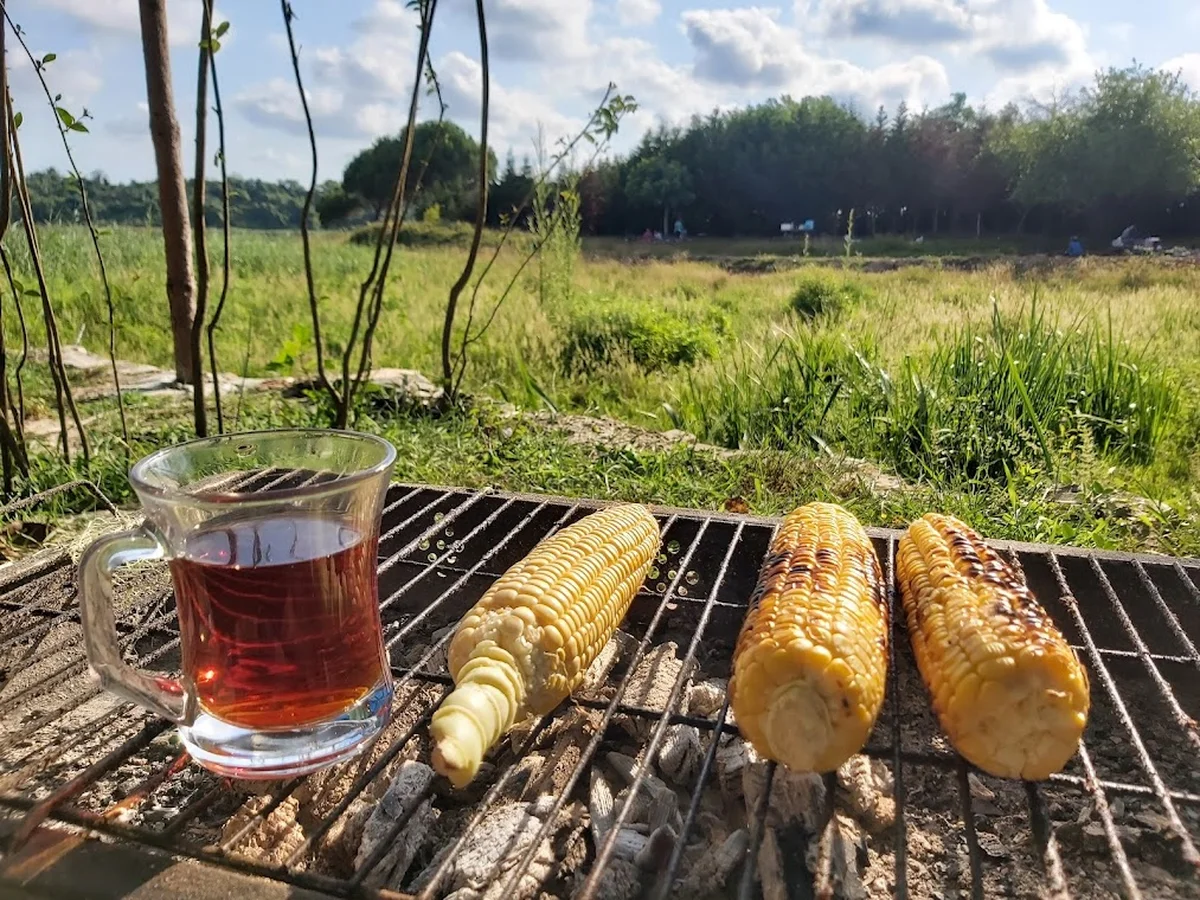 Bahçem Piknik Alanı - Görsel 2